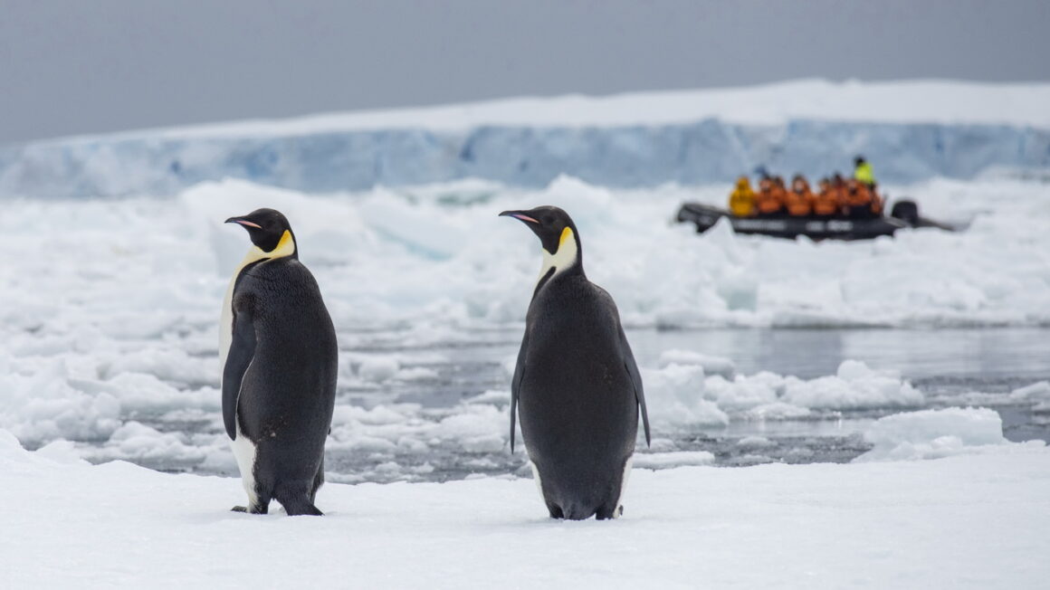 Antarktis Weddell Sea c Ponant Ambassador Cindy Miller Hopkins
