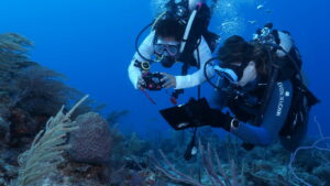 Taucher der MSC Foundation c Simone Piccoli