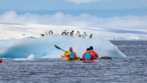 Kajak und Pinguine c Swan Hellenic