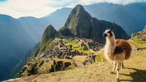 Machu Picchu c AmaWaterways 1
