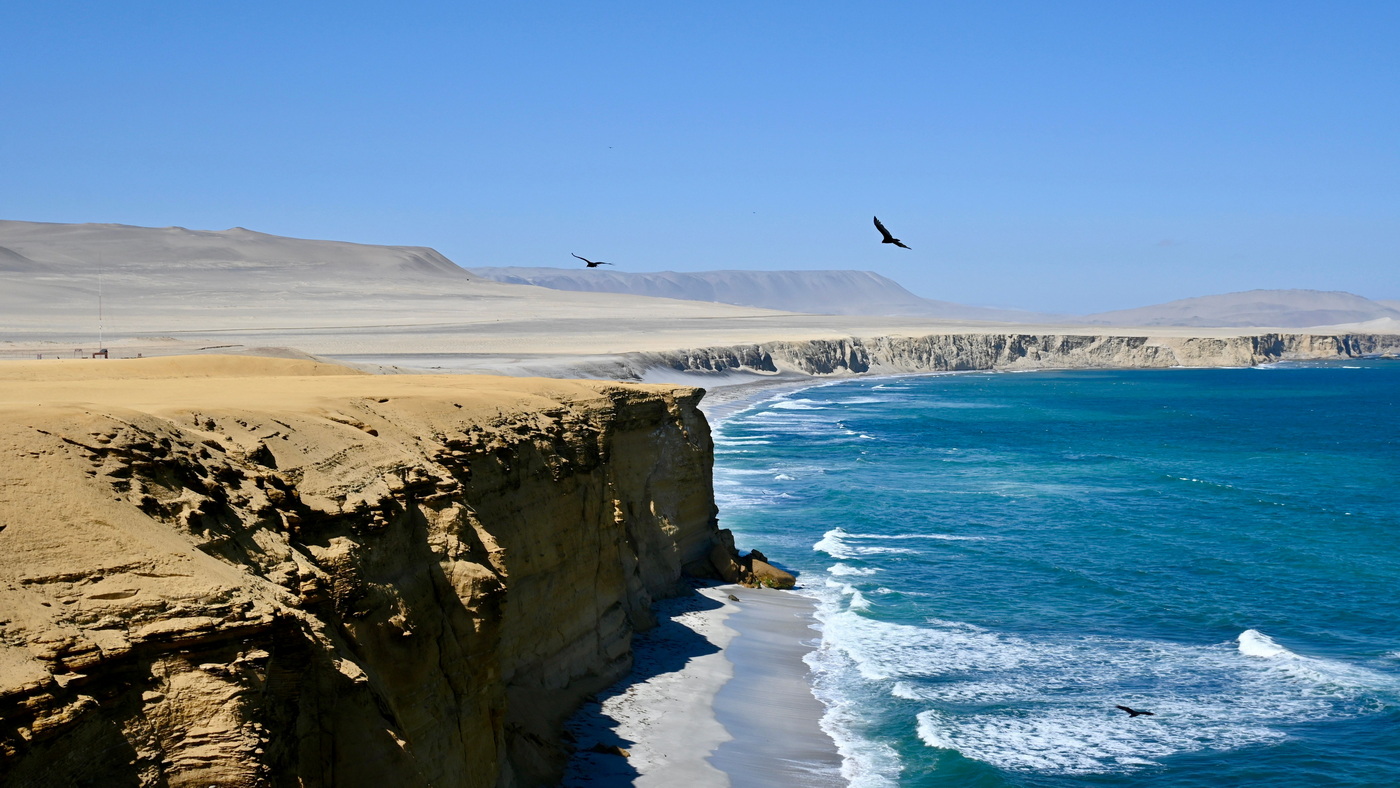nicko cruises: Musicalstar begleitet Festtagsreise der Vasco da Gama 8 Paracas c nicko cruises