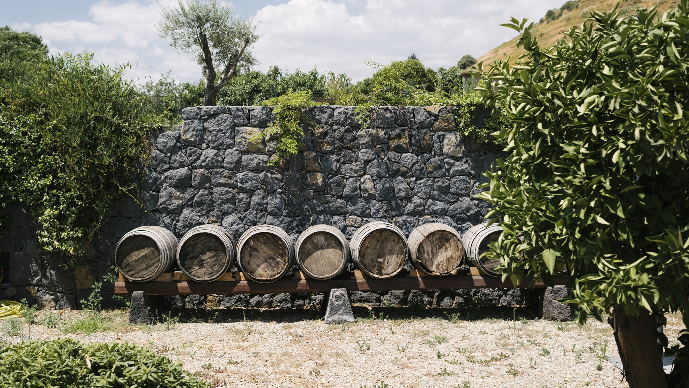 Silversea: Kulinarik auf S.A.L.T.-Reisen zur Weinlese im Herbst 7 S.A.L.T.Experiencein Italie am Fusse des Aetna c Silversra